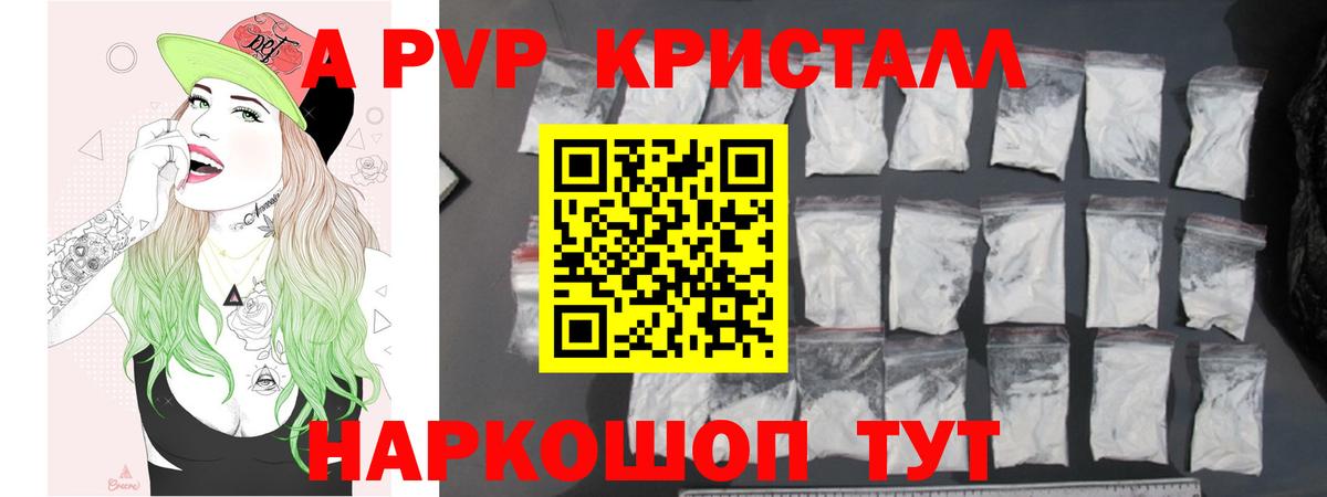 A PVP СК Можга