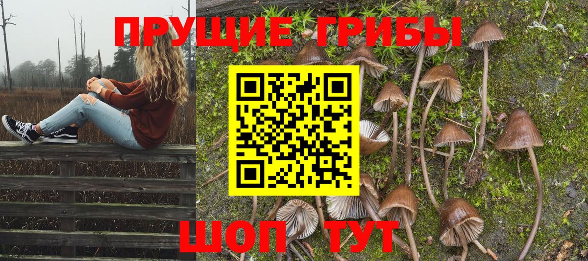 Можга  Псилоцибиновые грибы GOLDEN TEACHER  купить наркотик  Вход с VPN 